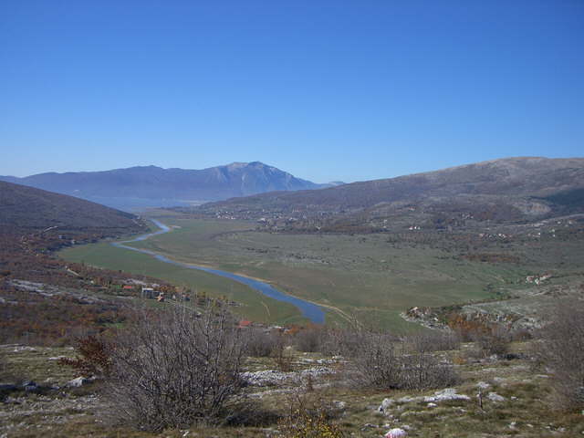 Prisoje