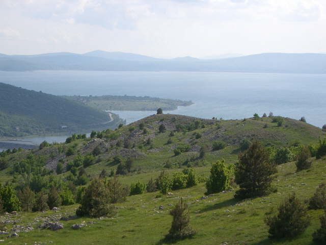 Buko jezero